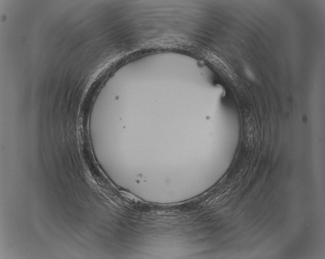 X0000066940680200604211750