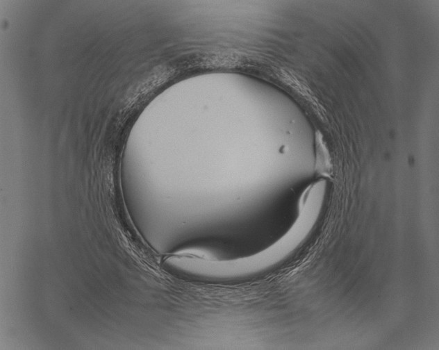 X0000066940681200604211750