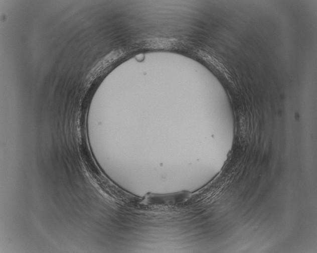 X0000066940682200604211750