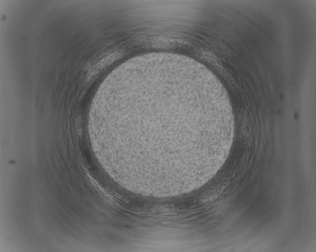 X0000066940683200604211750