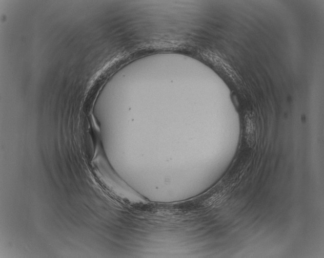 X0000066940684200604211750