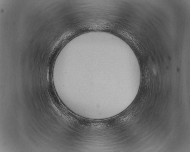 X0000066940686200604211750