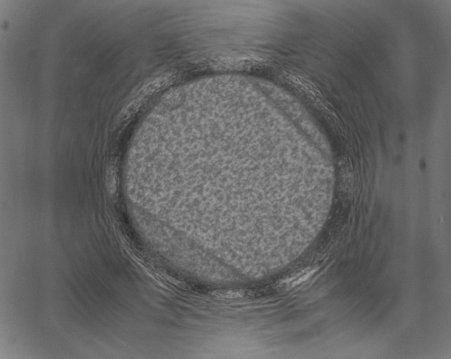 X0000066940687200604211750