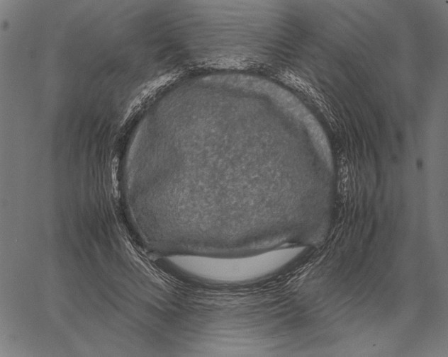 X0000066940688200604211750