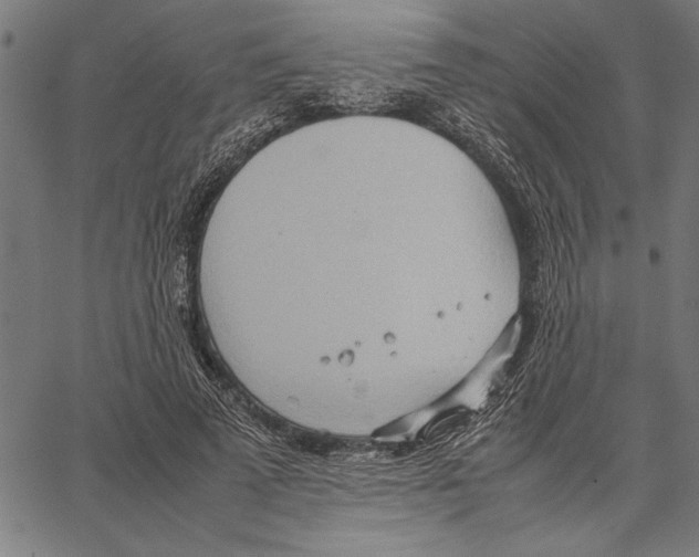 X0000066940689200604211750