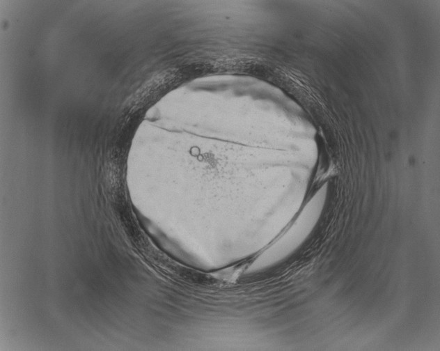 X0000066940691200604211750