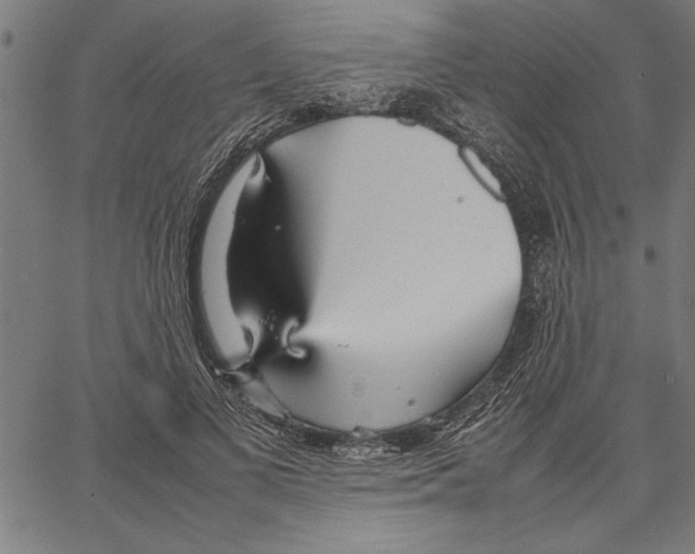 X0000066940693200604211750