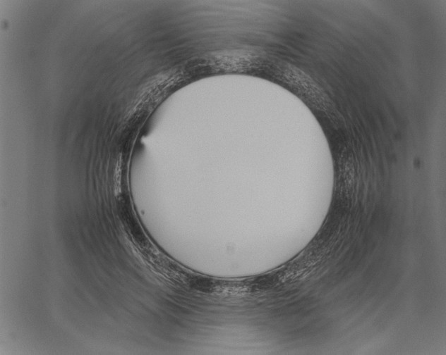 X0000066940694200604211750