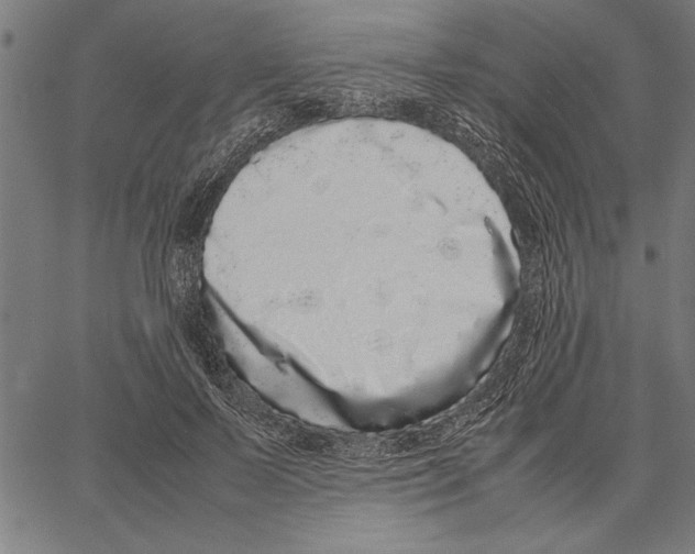 X0000066940695200604211750