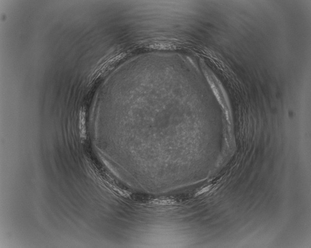 X0000066940696200604211750