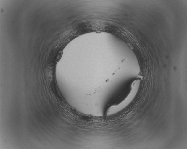 X0000066940697200604211750