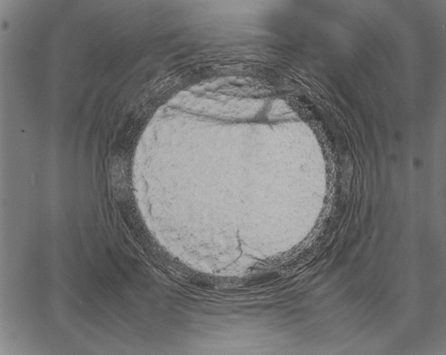 X0000066940699200604211750