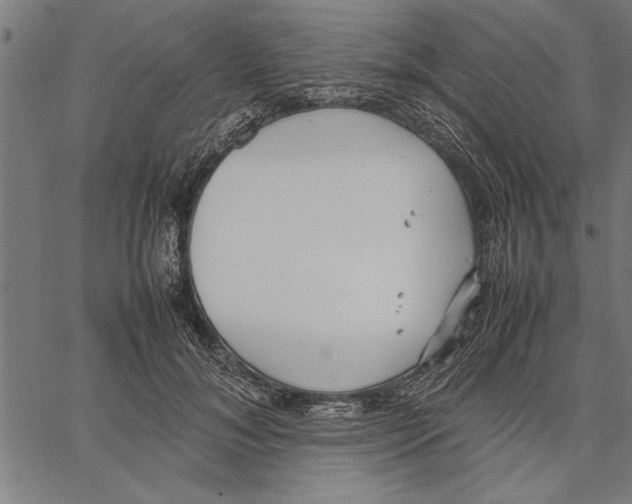 X0000066940700200604211750