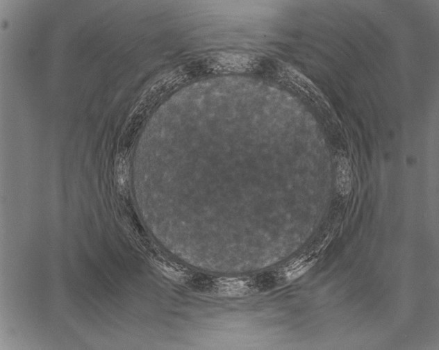 X0000066940701200604211750