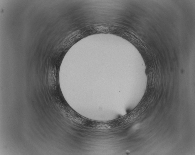 X0000066940702200604211750