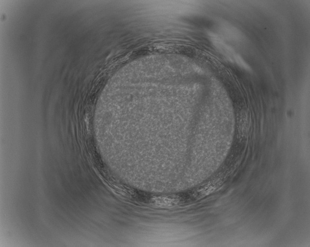 X0000066940703200604211750