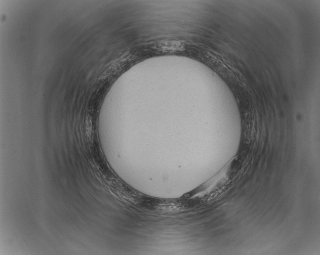 X0000066940704200604211750