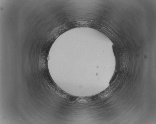 X0000066940706200604211750