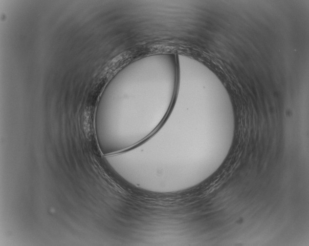 X0000066940708200604211750