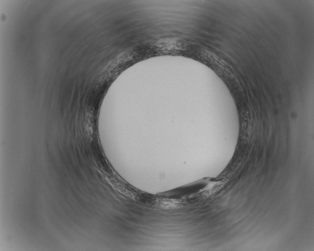 X0000066940710200604211750