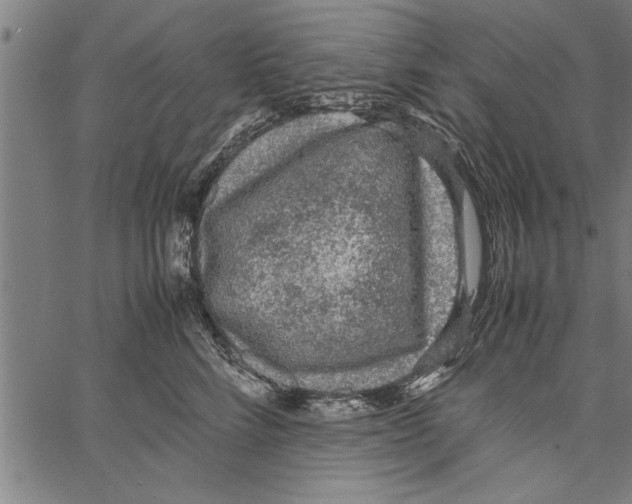 X0000066940712200604211750