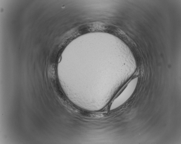 X0000066940715200604211750