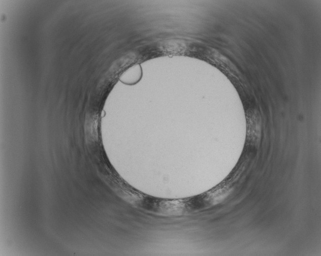 X0000066940717200604211750