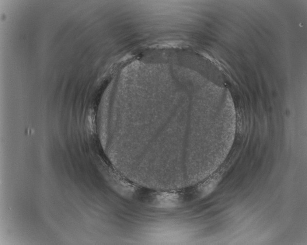 X0000066940718200604211750