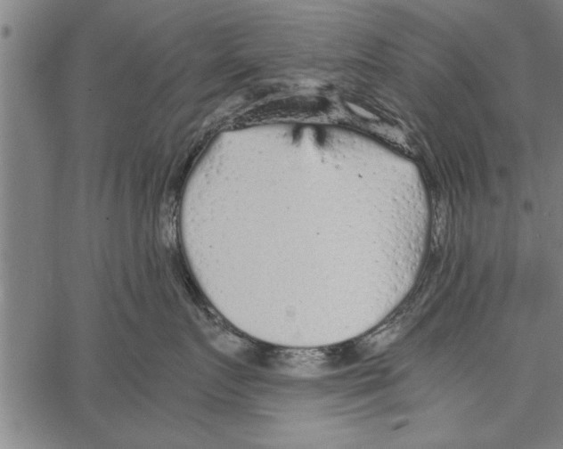 X0000066940719200604211750