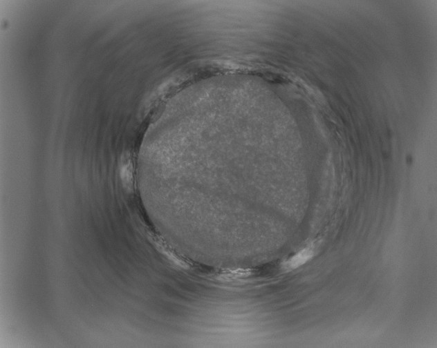 X0000066940720200604211750