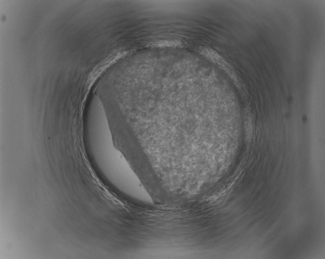 X0000066940721200604211749