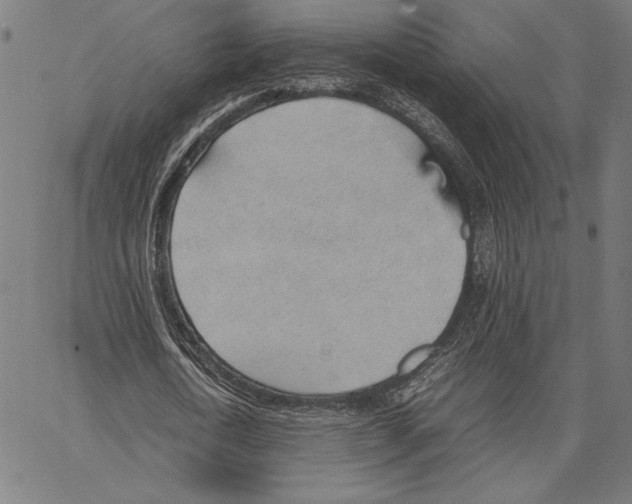 X0000066940722200604211749