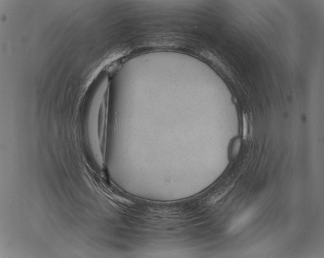 X0000066940723200604211749