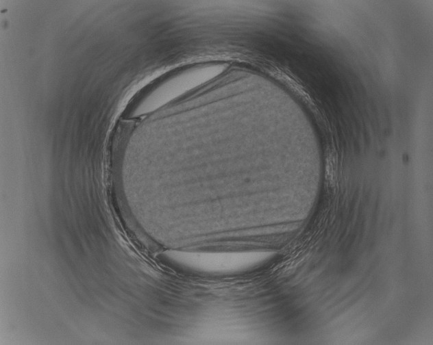 X0000066940724200604211749