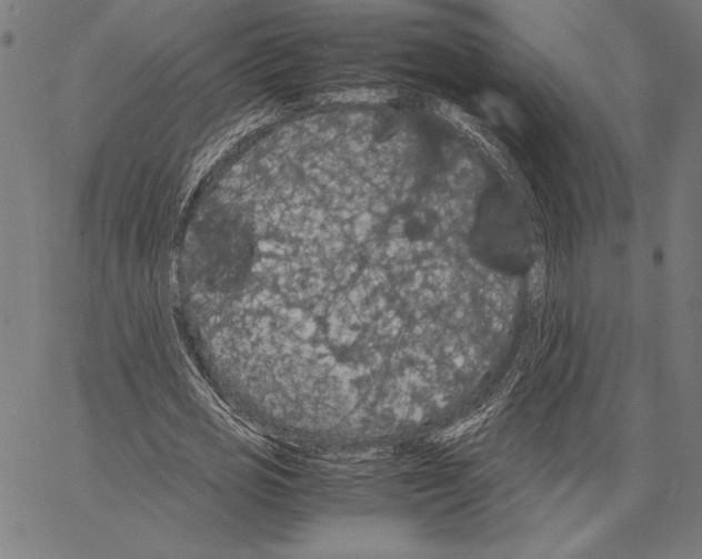 X0000066940725200604211749