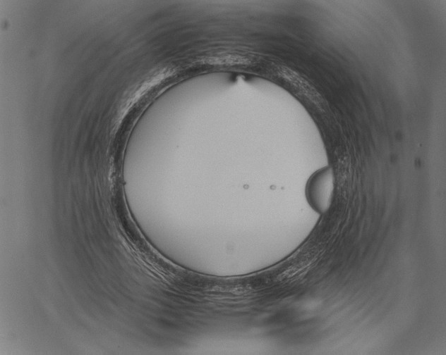 X0000066940727200604211749