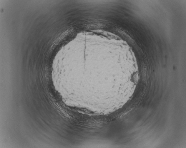 X0000066940729200604211749