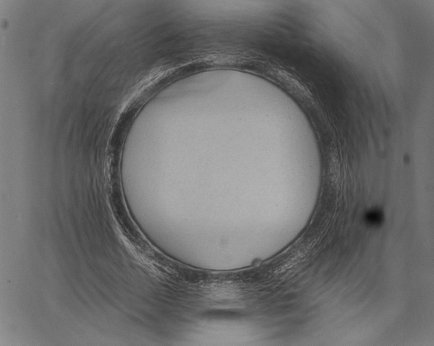 X0000066940730200604211749