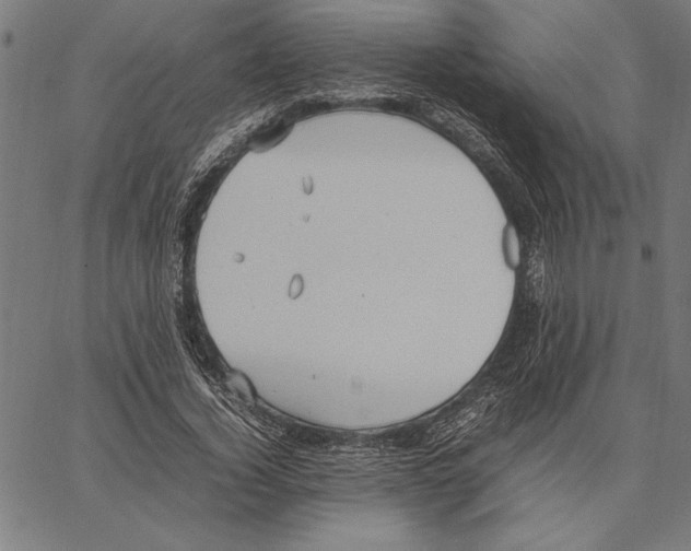 X0000066940732200604211749