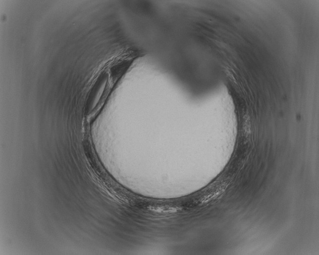 X0000066940733200604211749