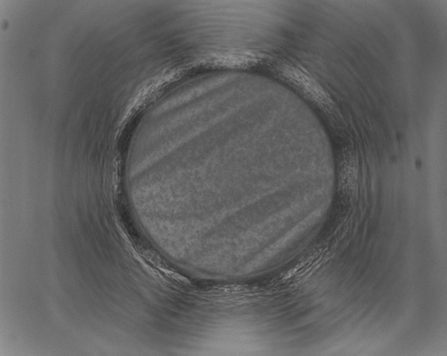 X0000066940736200604211749