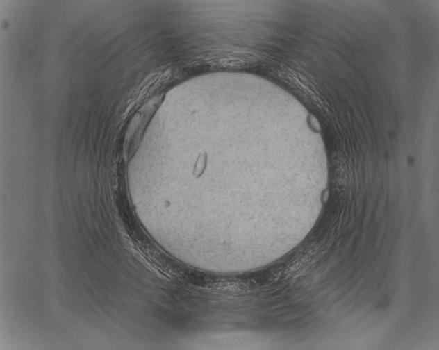 X0000066940738200604211749