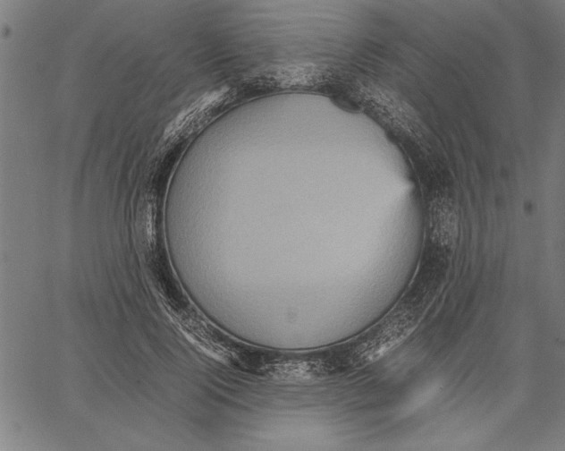 X0000066940740200604211749