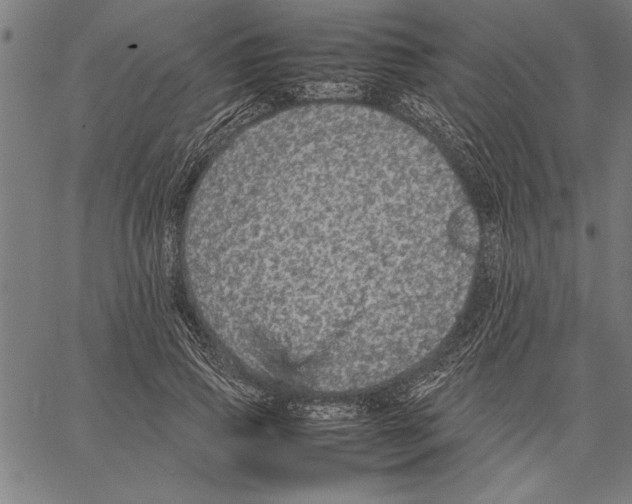 X0000066940741200604211749