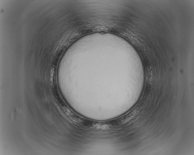 X0000066940742200604211749