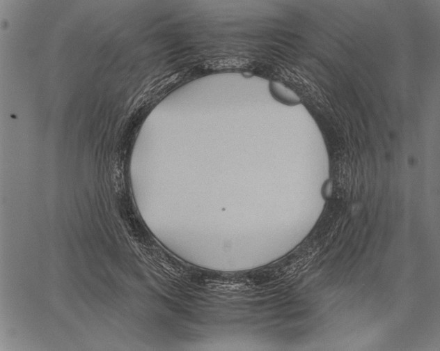 X0000066940743200604211749