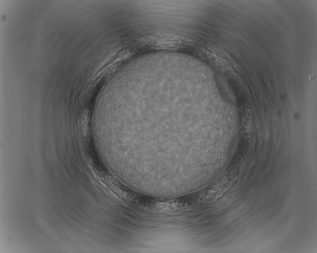 X0000066940744200604211749