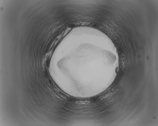 X0000066940745200604211749