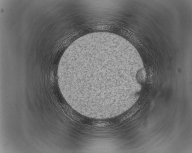 X0000066940746200604211749