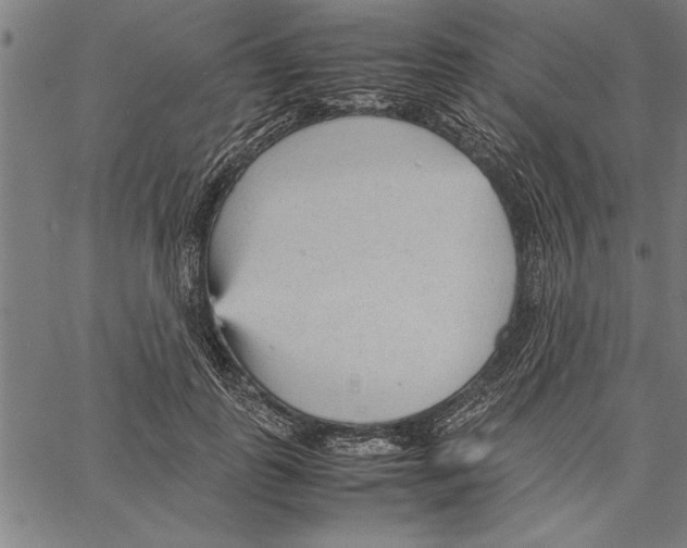 X0000066940747200604211749